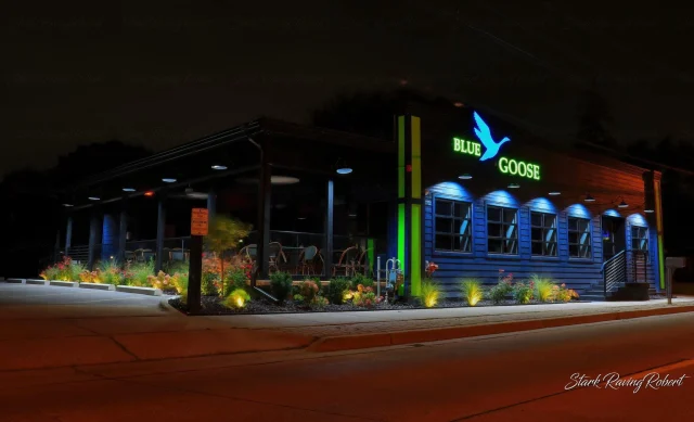 Blue Goose Inn image