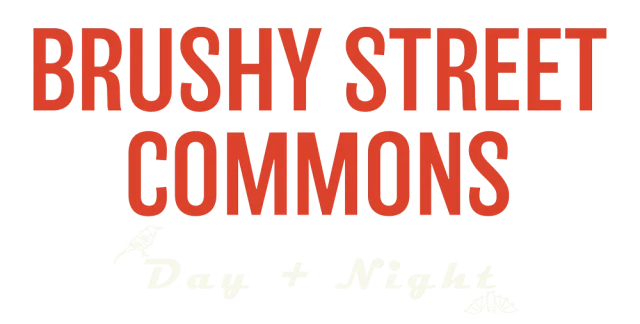 Brushy Street Commons image